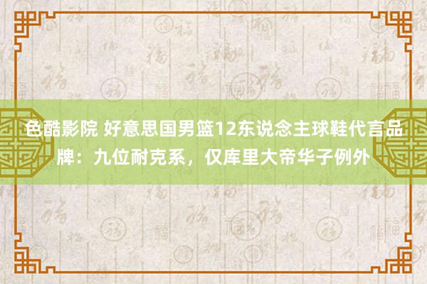 色酷影院 好意思国男篮12东说念主球鞋代言品牌：九位耐克系，仅库里大帝华子例外