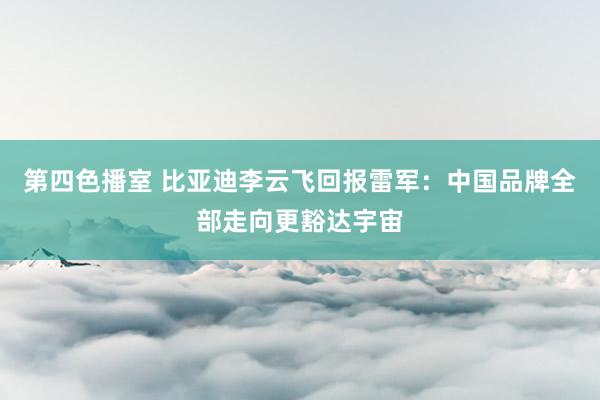 第四色播室 比亚迪李云飞回报雷军：中国品牌全部走向更豁达宇宙