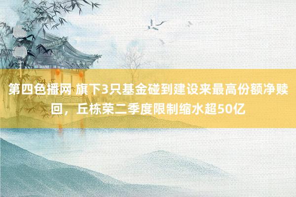 第四色播网 旗下3只基金碰到建设来最高份额净赎回，丘栋荣二季度限制缩水超50亿