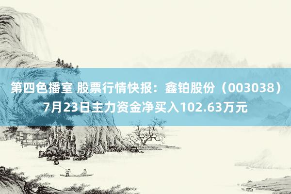 第四色播室 股票行情快报：鑫铂股份（003038）7月23日主力资金净买入102.63万元