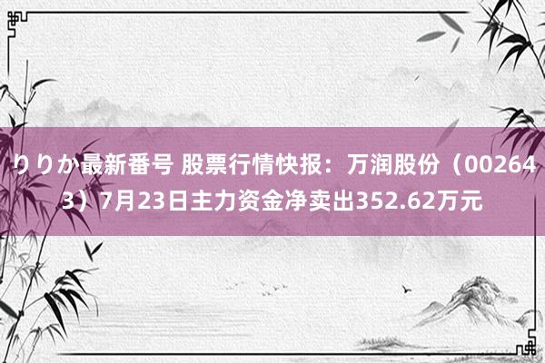 りりか最新番号 股票行情快报：万润股份（002643）7月23日主力资金净卖出352.62万元