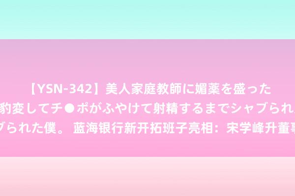 【YSN-342】美人家庭教師に媚薬を盛ったら、ドすけべぇ先生に豹変してチ●ポがふやけて射精するまでシャブられた僕。 蓝海银行新开拓班子亮相：宋学峰升董事长，王业方升行长