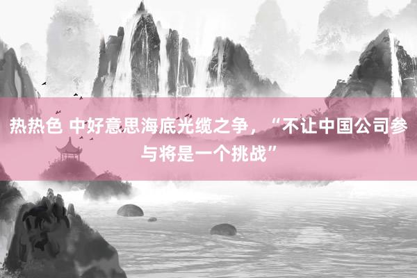 热热色 中好意思海底光缆之争，“不让中国公司参与将是一个挑战”