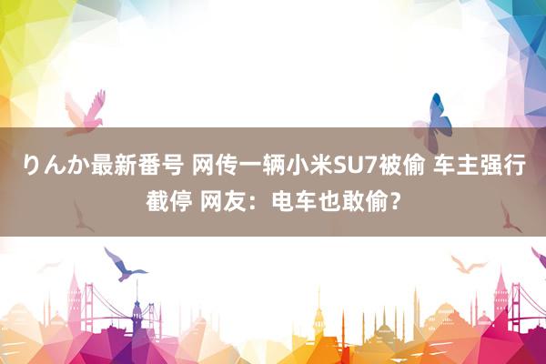 りんか最新番号 网传一辆小米SU7被偷 车主强行截停 网友：电车也敢偷？