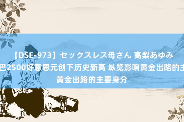 【DSE-973】セックスレス母さん 高梨あゆみ 金价结巴2500好意思元创下历史新高 纵览影响黄金出路的主要身分