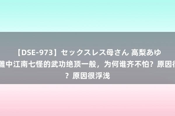 【DSE-973】セックスレス母さん 高梨あゆみ 射雕中江南七怪的武功绝顶一般，为何谁齐不怕？原因很浮浅