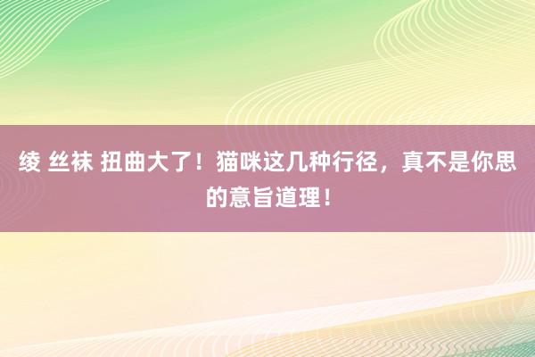 绫 丝袜 扭曲大了！猫咪这几种行径，真不是你思的意旨道理！