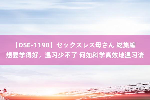 【DSE-1190】セックスレス母さん 総集編 想要学得好，温习少不了 何如科学高效地温习请