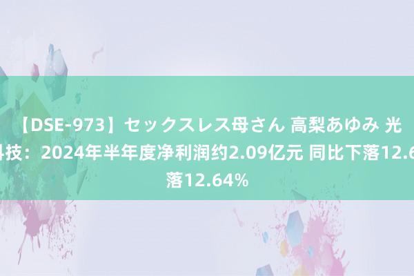 【DSE-973】セックスレス母さん 高梨あゆみ 光迅科技：2024年半年度净利润约2.09亿元 同比下落12.64%