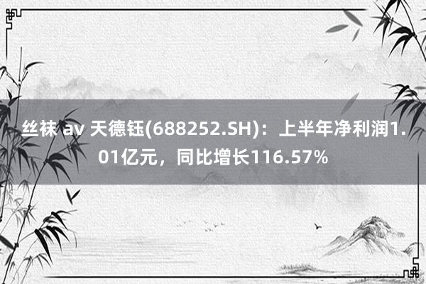 丝袜 av 天德钰(688252.SH)：上半年净利润1.01亿元，同比增长116.57%