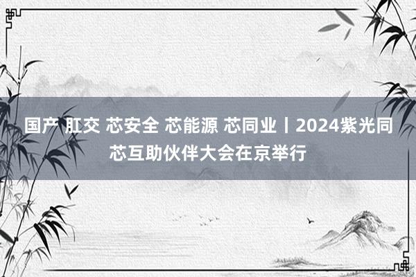 国产 肛交 芯安全 芯能源 芯同业丨2024紫光同芯互助伙伴大会在京举行