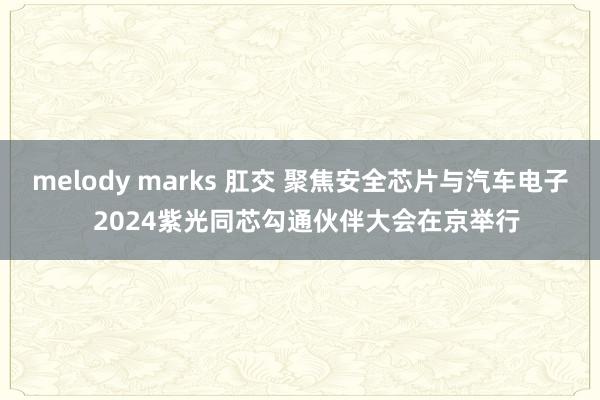 melody marks 肛交 聚焦安全芯片与汽车电子  2024紫光同芯勾通伙伴大会在京举行